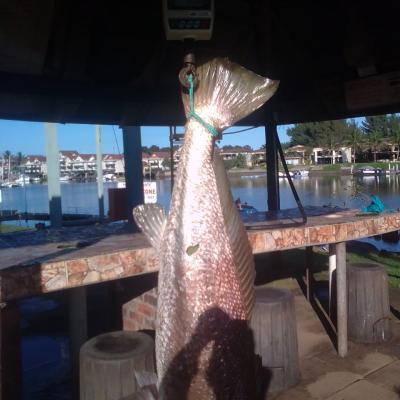 Whatsapp Image 2023 06 01 At 08.49.19