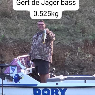 2025 Bavaan