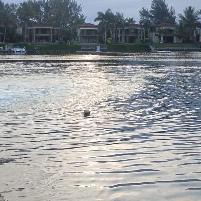 SADSAA Bottomfish Nationals – Day 3